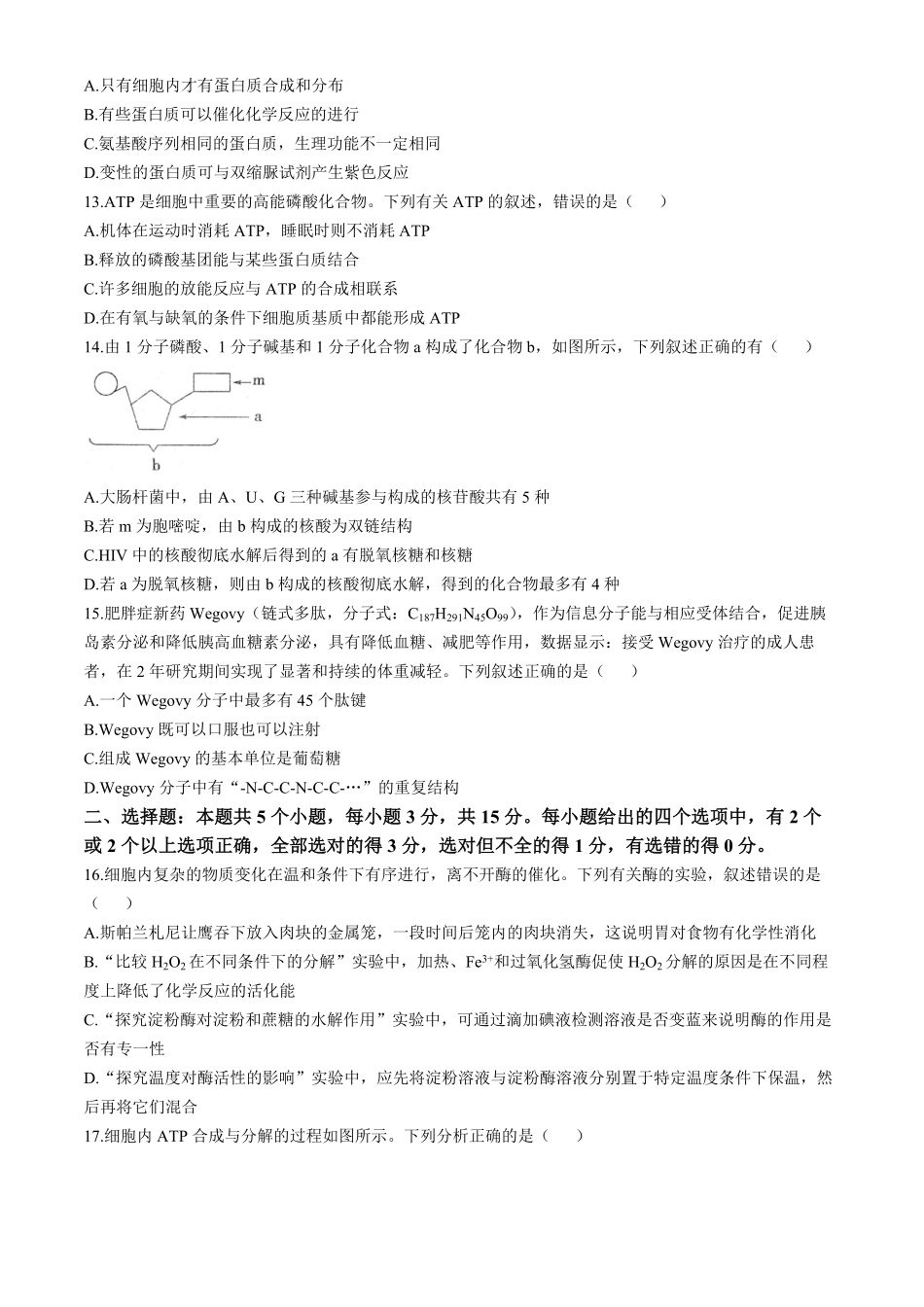 河南省周口市鹿邑县2024-2025学年高一上学期11月期中考试生物含答案.pdf_第3页