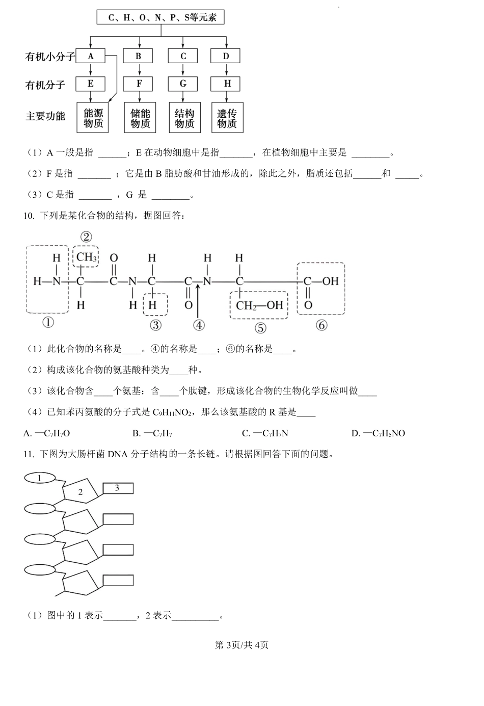 河南省驻马店市新蔡县第一高级中学2024-2025学年高一上学期开学考试理科综合卷-高中生物学（原卷版）.pdf_第3页