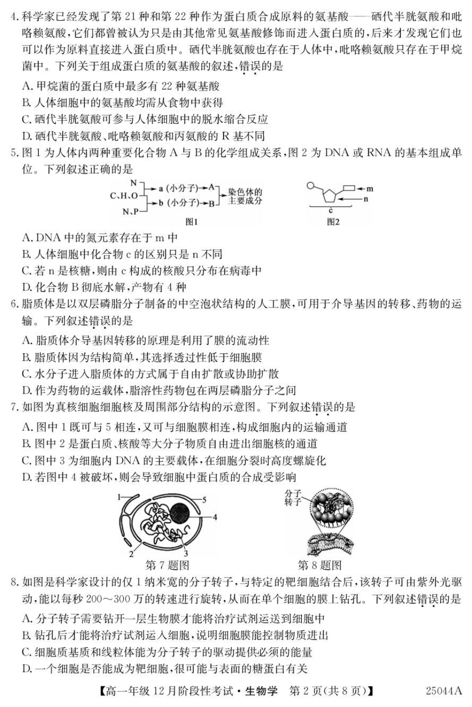黑龙江省2024-2025学年高一上学期12月月考试题生物含解析.pdf_第2页