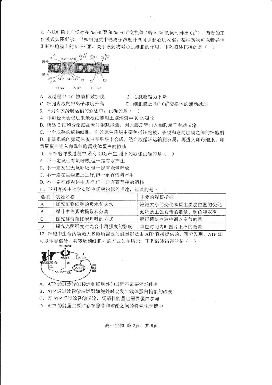 黑龙江省哈尔滨市第三中学2024-2025学年高一上学期12月月考生物试卷.pdf_第2页