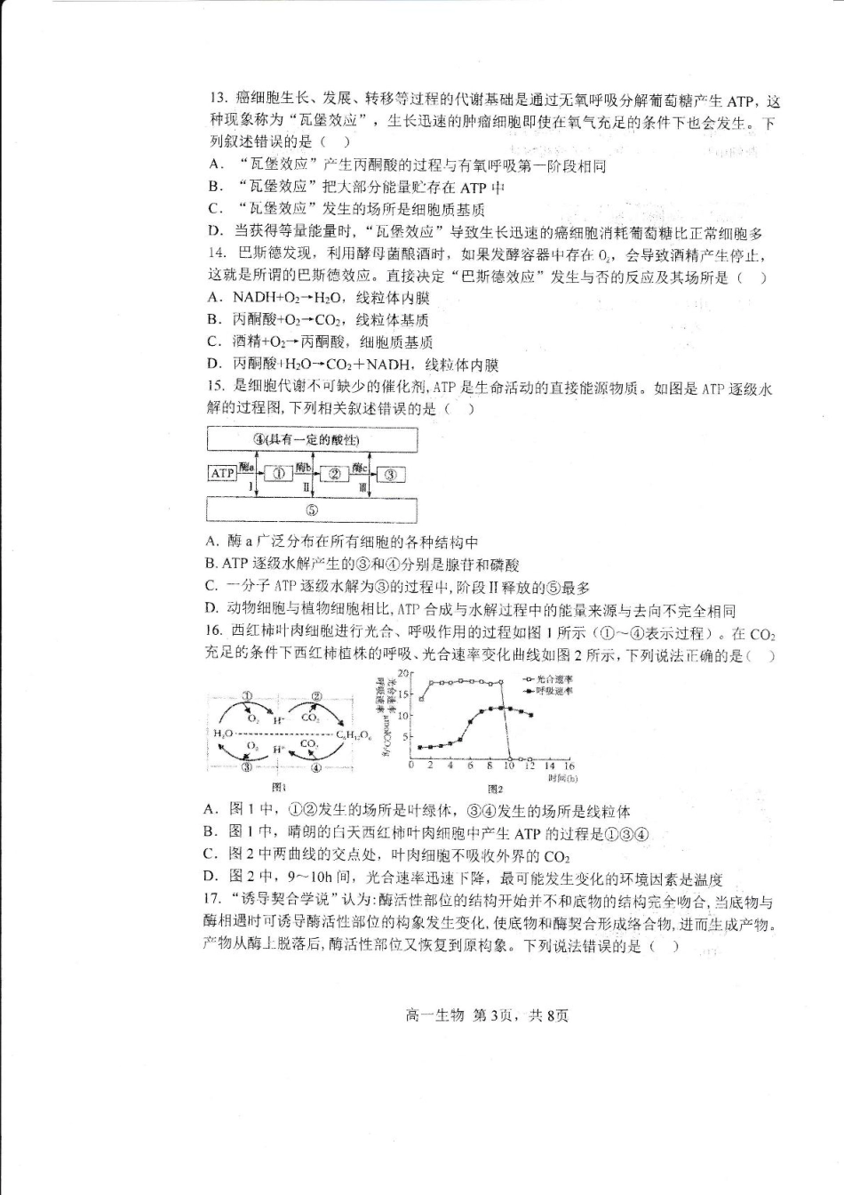 黑龙江省哈尔滨市第三中学2024-2025学年高一上学期12月月考生物试卷.pdf_第3页