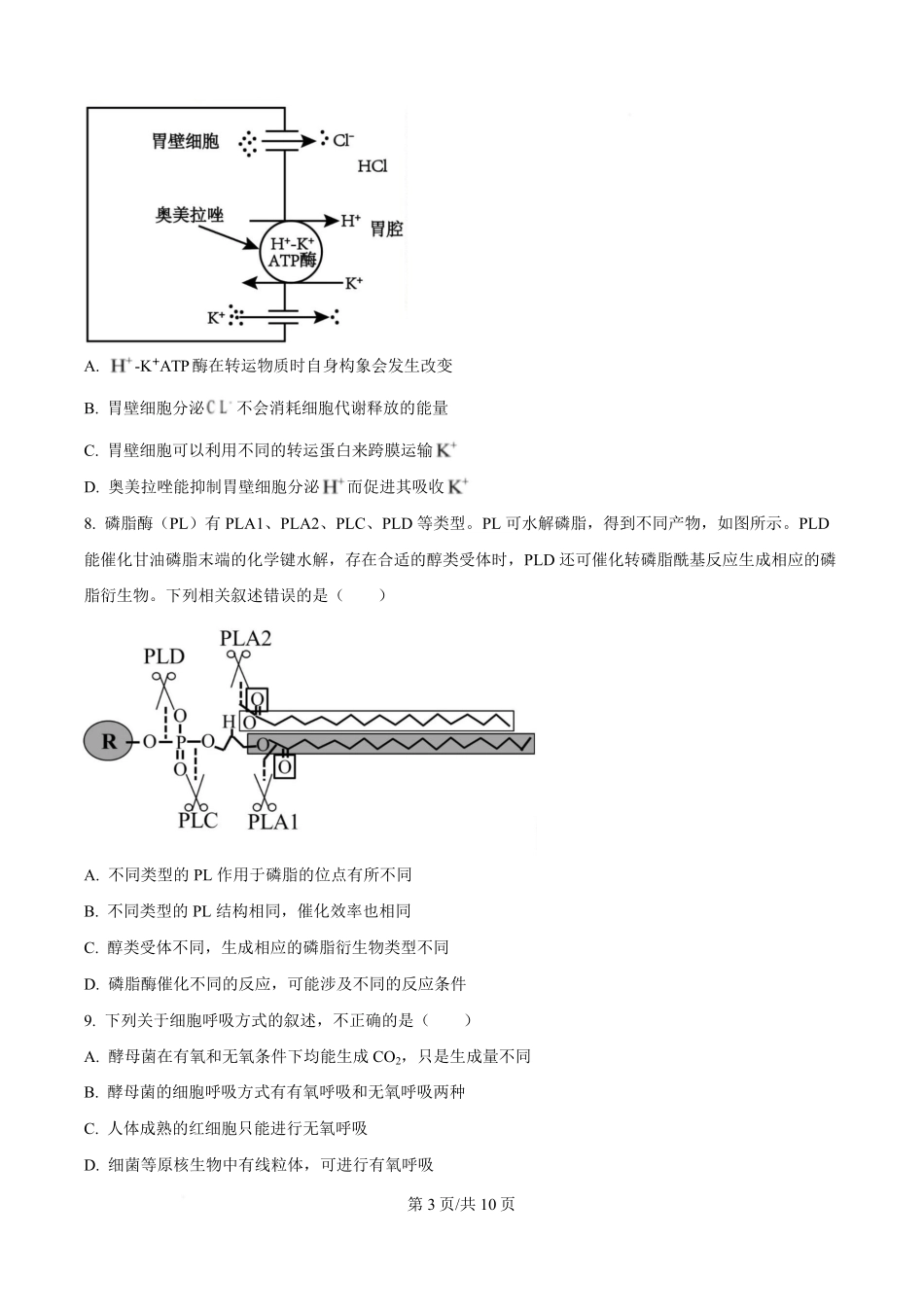 湖北省武汉市洪山高级中学2024-2025学年高一下学期2月考试生物试卷（原卷版）.pdf_第3页