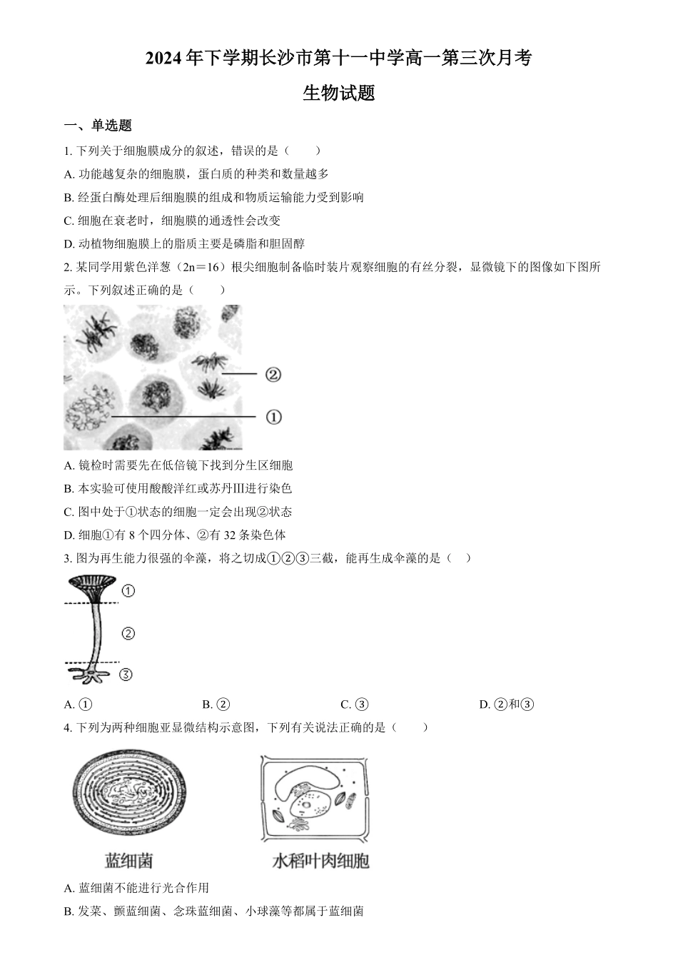湖南省长沙市第十一中学2024-2025学年高一上学期12月月考生物试题（原卷版）.pdf_第1页