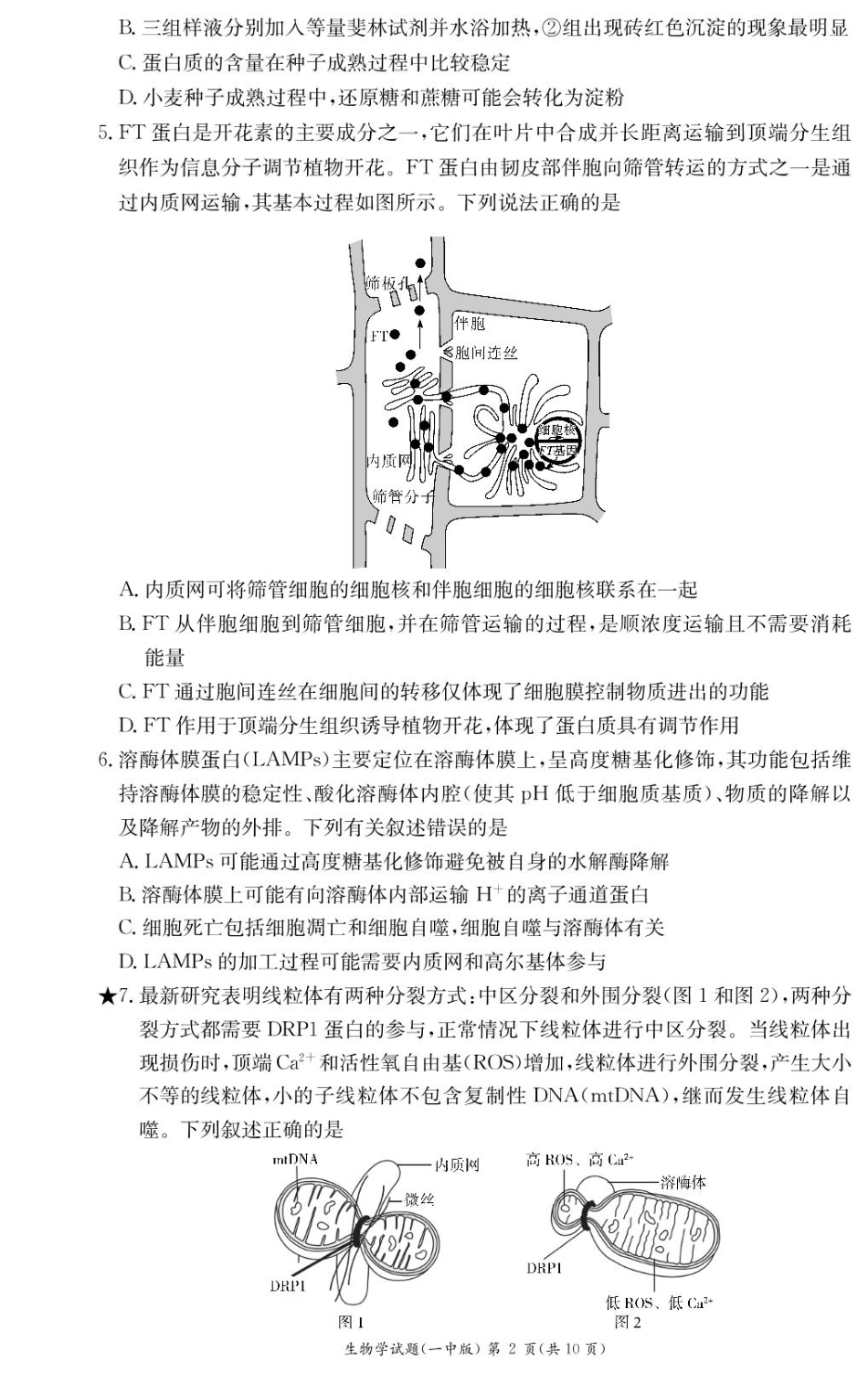 湖南省长沙市第一中学2024-2025学年高一下学期入学考试生物试卷.pdf_第2页