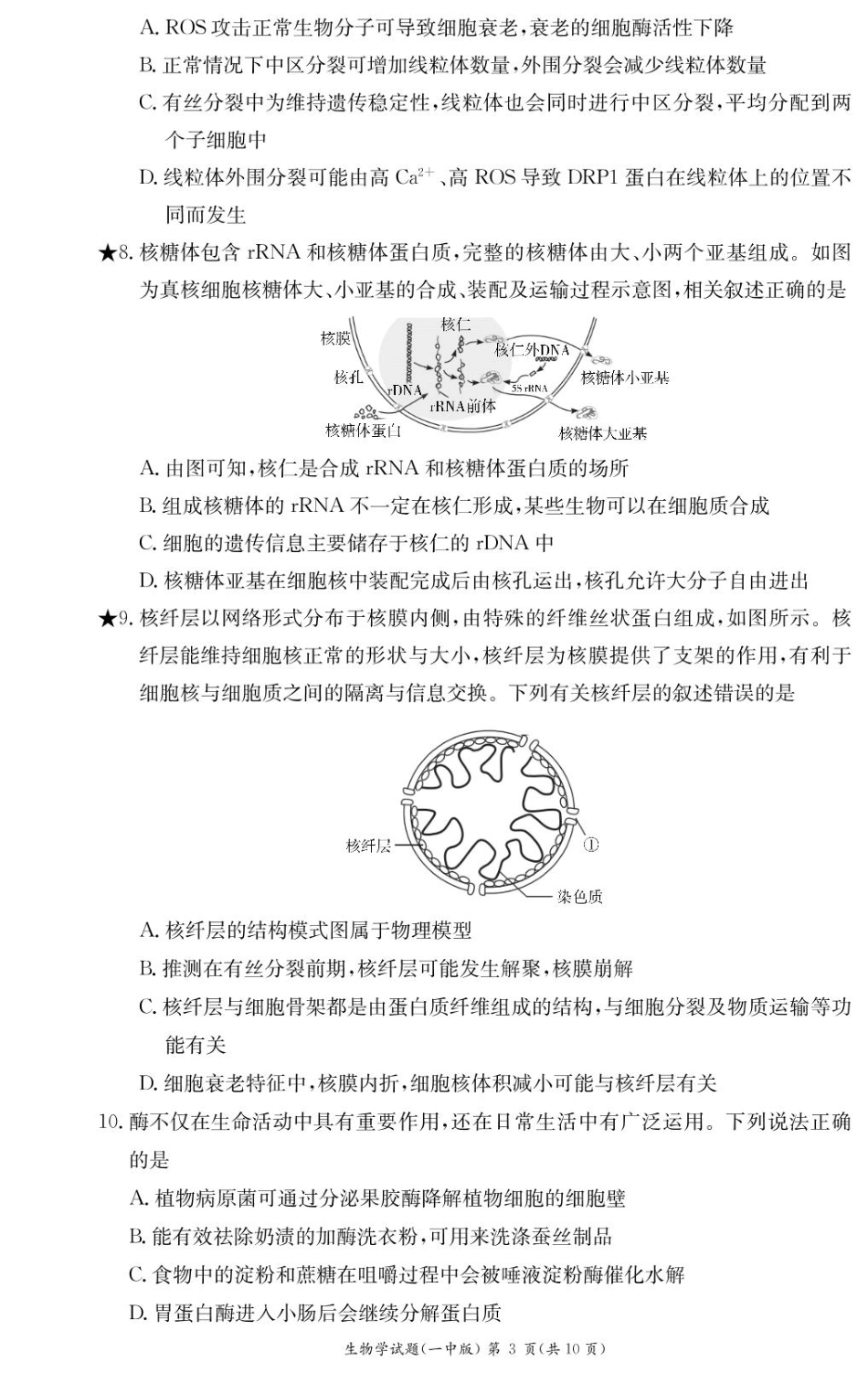 湖南省长沙市第一中学2024-2025学年高一下学期入学考试生物试卷.pdf_第3页