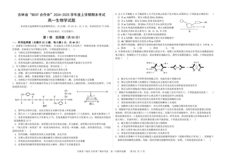 吉林省“BEST合作体”2024-2025学年高一上学期期末考试生物含答案.pdf_第1页