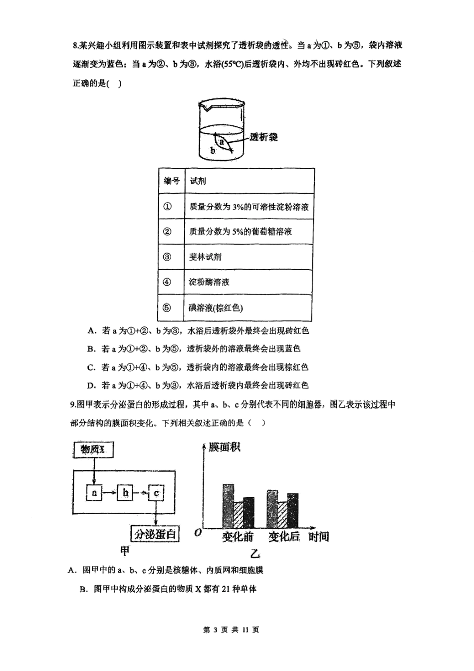 吉林省长春市十一高中2024-2025学年高一上学期第三学程考试生物含答案.pdf_第3页