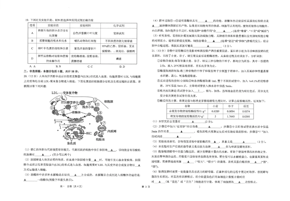 江苏省海安高级中学2024-2025学年高一上学期12月月考试题生物含答案.pdf_第3页