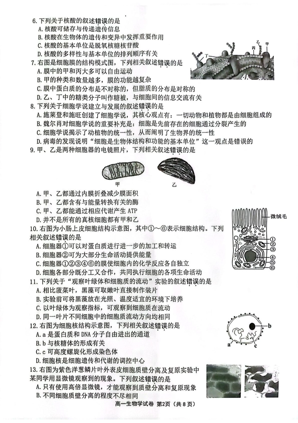 江苏省连云港市2024-2025学年高一上学期期末调研考试生物含答案.pdf_第2页