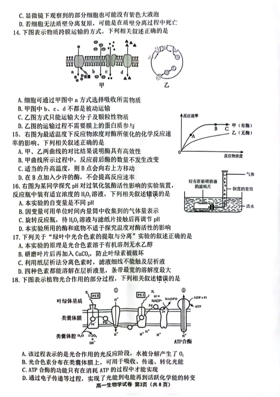 江苏省连云港市2024-2025学年高一上学期期末调研考试生物含答案.pdf_第3页