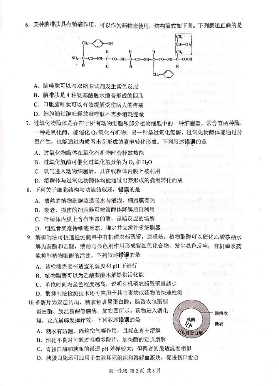 江苏省苏州市2024-2025学年高一上学期1月期末学业阳光指标调研试题生物.pdf_第2页