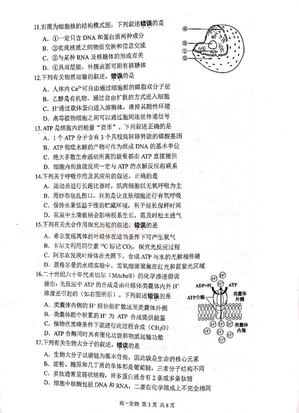 江苏省苏州市2024-2025学年高一上学期1月期末学业阳光指标调研试题生物.pdf_第3页