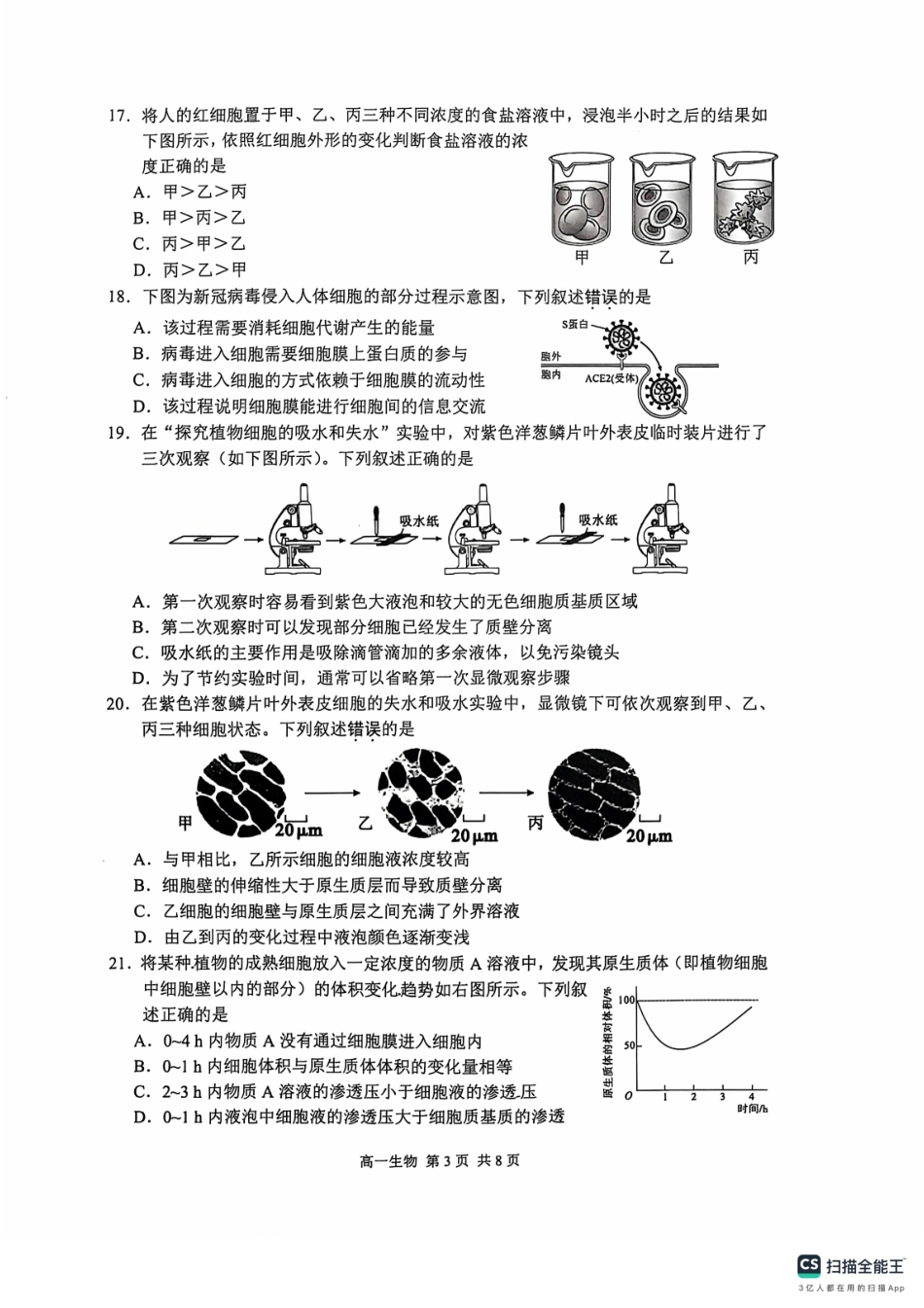 江苏省苏州市2024-2025学年高一上学期11月期中考试生物试题+答案.pdf_第3页