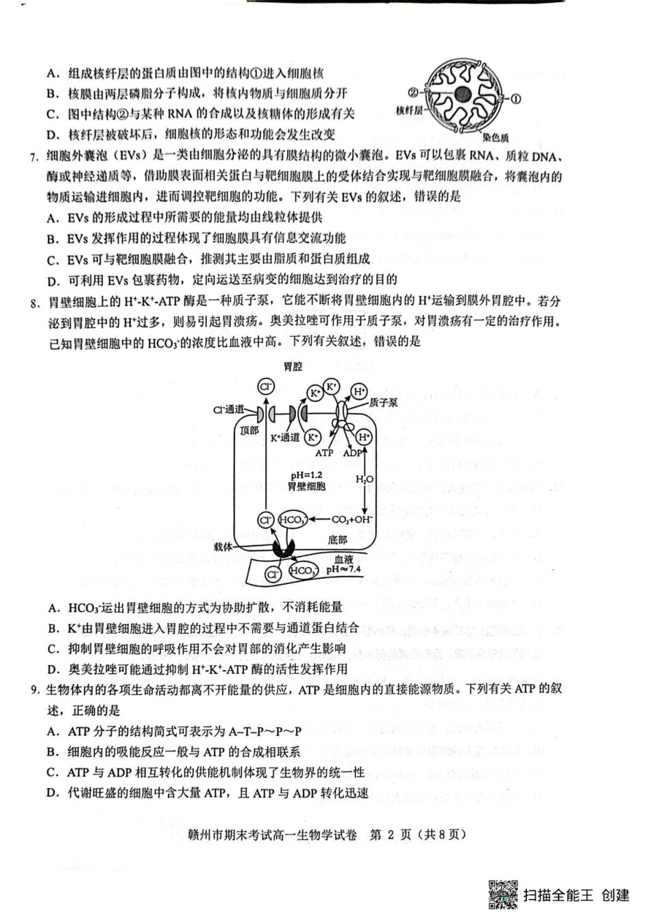 江西省赣州市2024-2025学年高一上学期1月期末生物.pdf_第2页