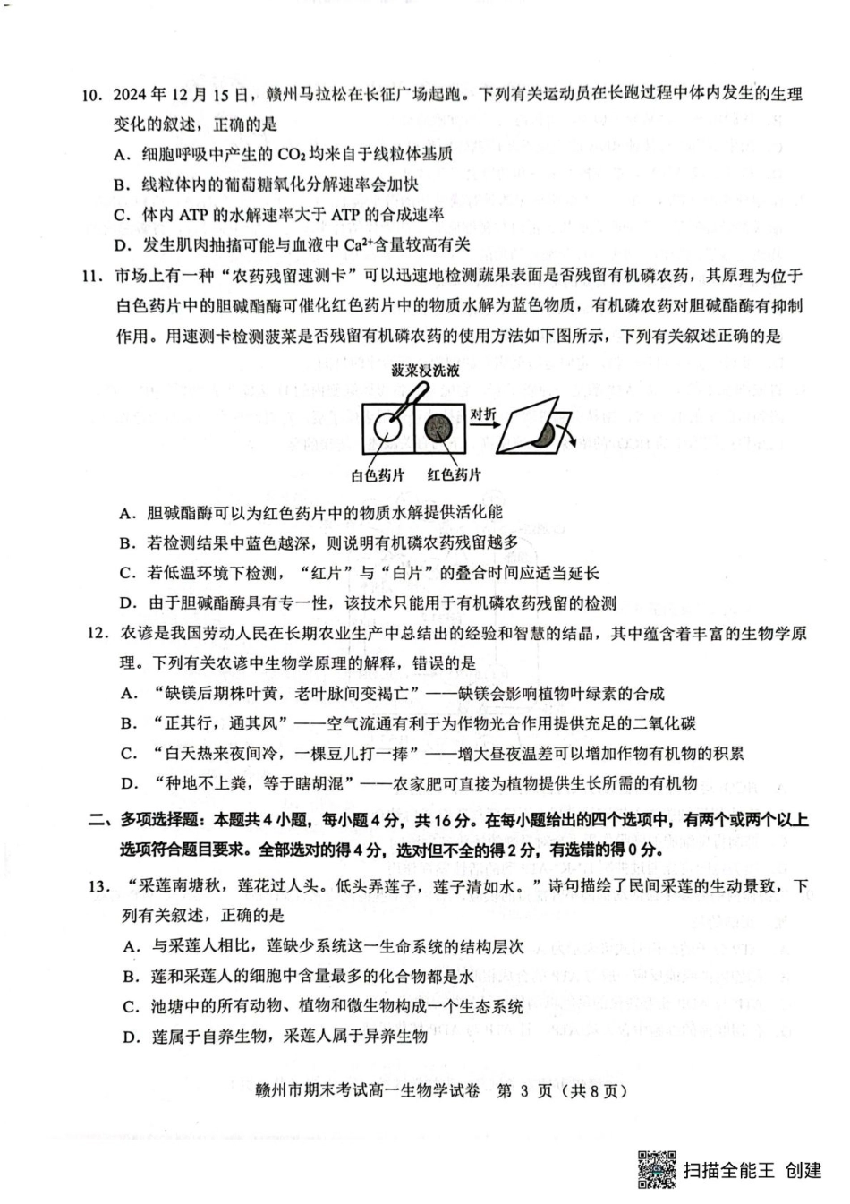 江西省赣州市2024-2025学年高一上学期1月期末生物.pdf_第3页