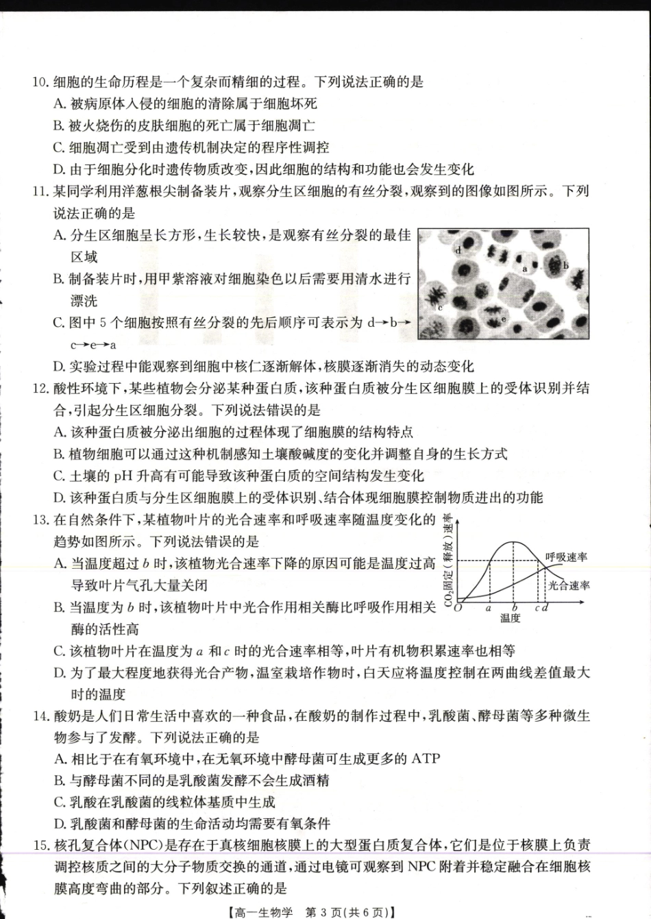 金太阳25-281A2024-2025学年高一上学期1月期末考试生物学试卷.pdf_第2页