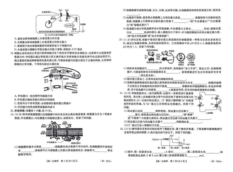金太阳百万联考2024-2025学年高一上学期12月联考（HB）生物试题.pdf_第3页