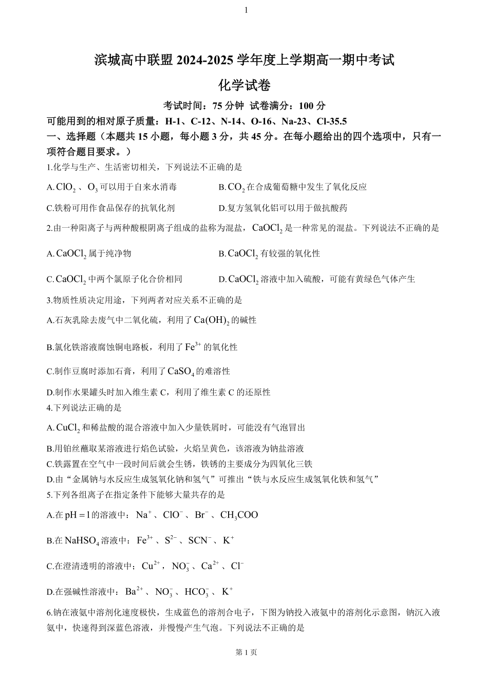 辽宁省大连市滨城高中联盟2024-2025学年高一上学期期中考试化学试卷（含答案）.pdf_第1页