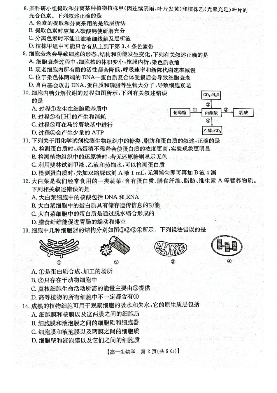 辽宁省辽阳市2024-2025学年高一上学期期末考试生物含答案.pdf_第2页