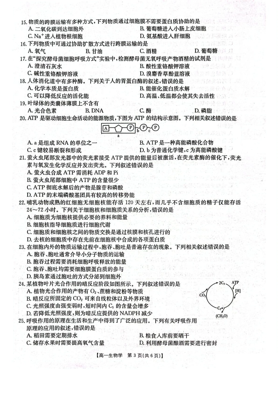 辽宁省辽阳市2024-2025学年高一上学期期末考试生物含答案.pdf_第3页