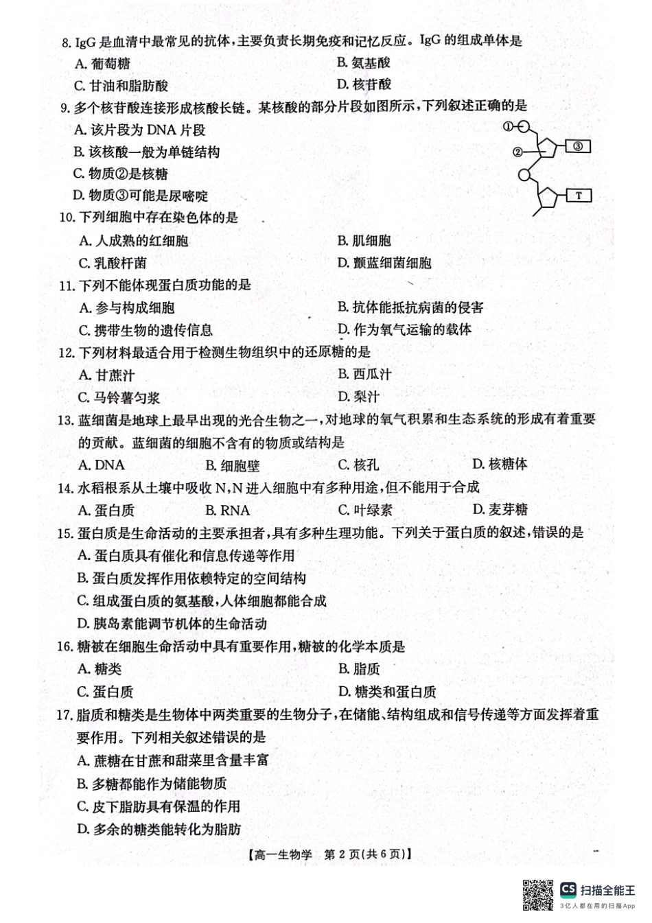 辽宁省辽阳市2024-2025学年高一上学期期中考试生物含答案.pdf_第2页
