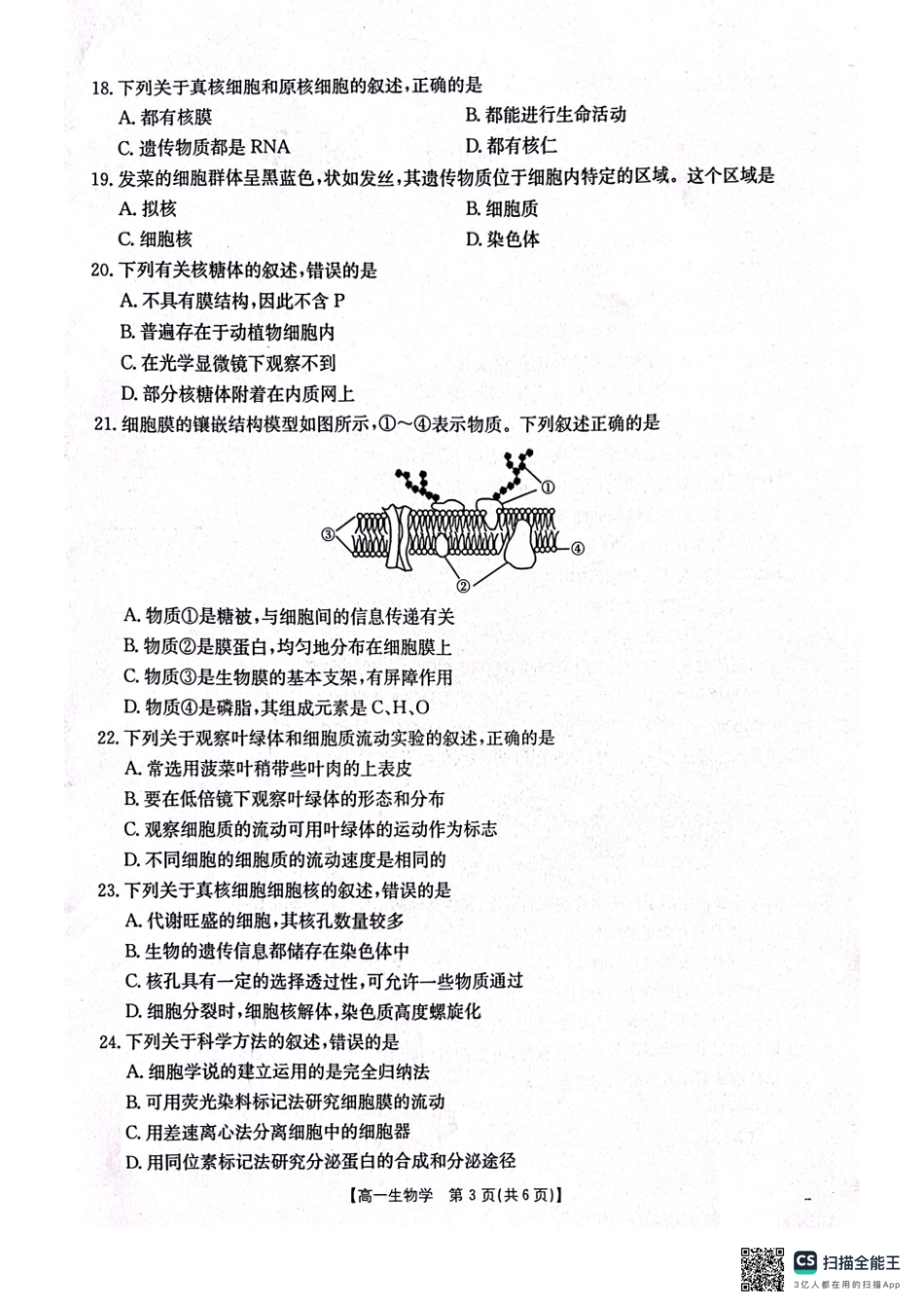 辽宁省辽阳市2024-2025学年高一上学期期中考试生物含答案.pdf_第3页