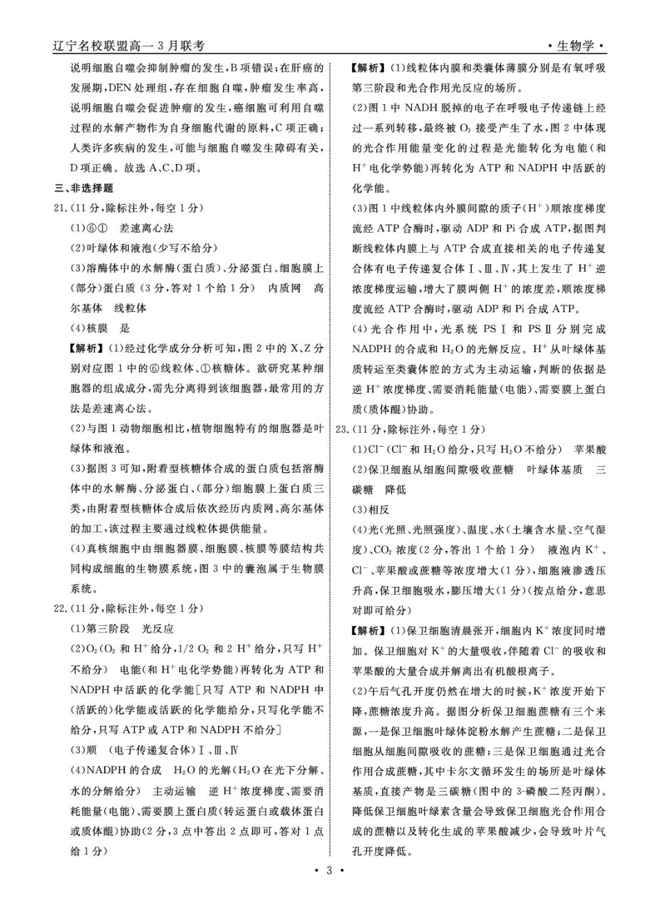 辽宁省名校联盟2024-2025学年高一下学期3月月考生物答案.pdf_第3页