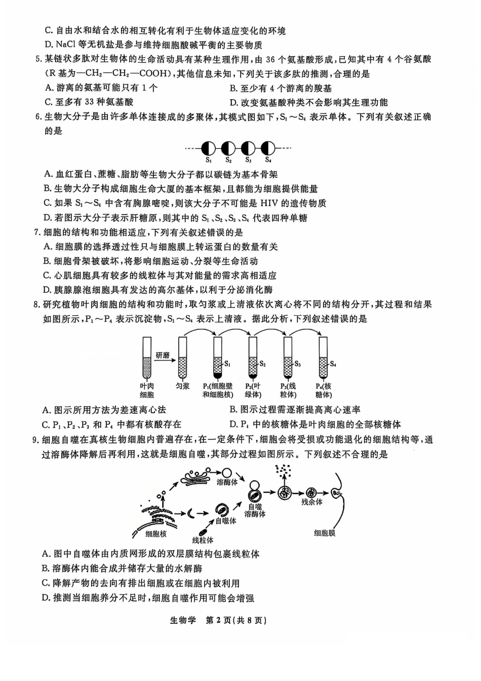 辽宁省名校联盟普通高中2024-2025学年高一12月月考生物试题.pdf_第2页