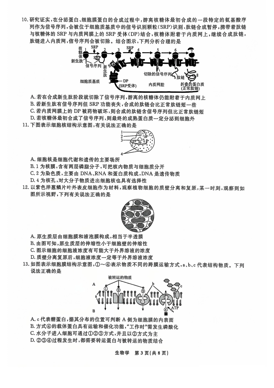 辽宁省名校联盟普通高中2024-2025学年高一12月月考生物试题.pdf_第3页