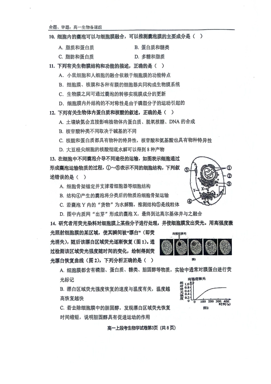南宁二中2024年秋季期中高一生物试卷.pdf_第3页