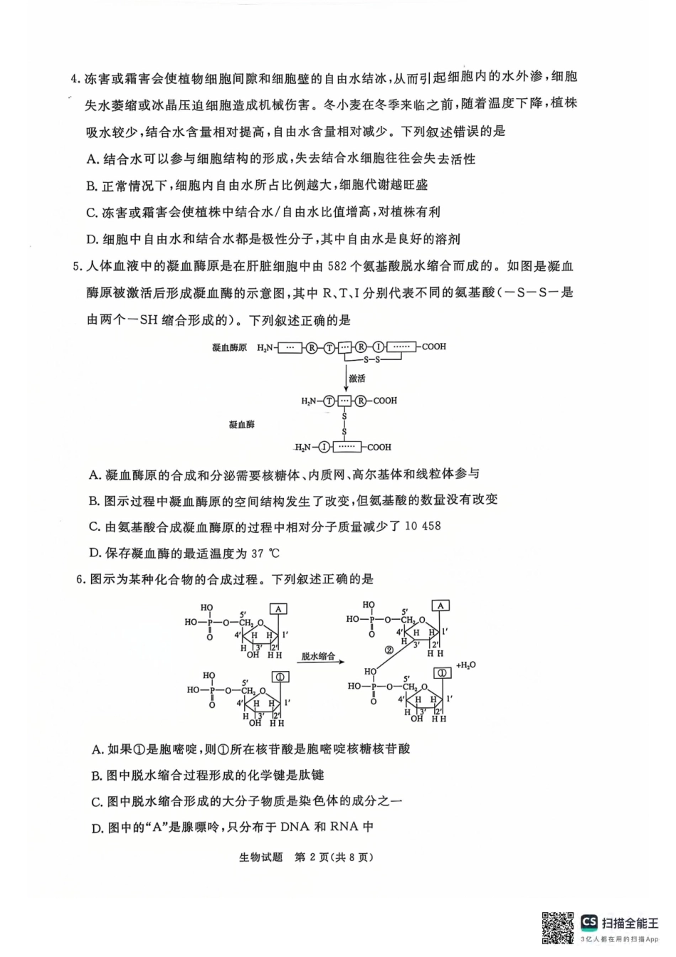 青桐鸣2024-2025学年高一上学期12月大联考生物试题含答案.pdf_第2页