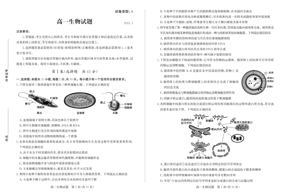 山东省滨州市2024-2025学年高一上学期1月期末生物试题.pdf_第1页