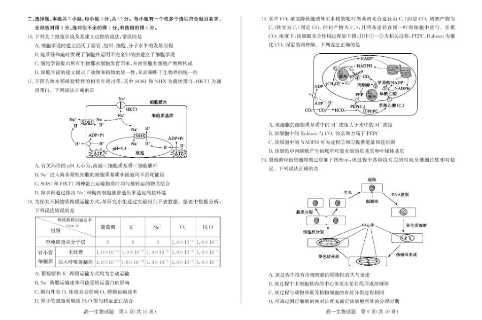 山东省滨州市2024-2025学年高一上学期1月期末生物试题.pdf_第3页