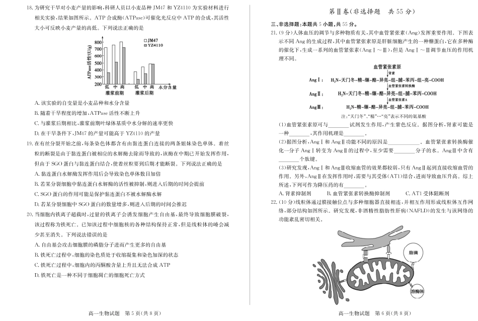 山东省德州市2024-2025学年高一上学期1月联考试题生物含答案.pdf_第3页