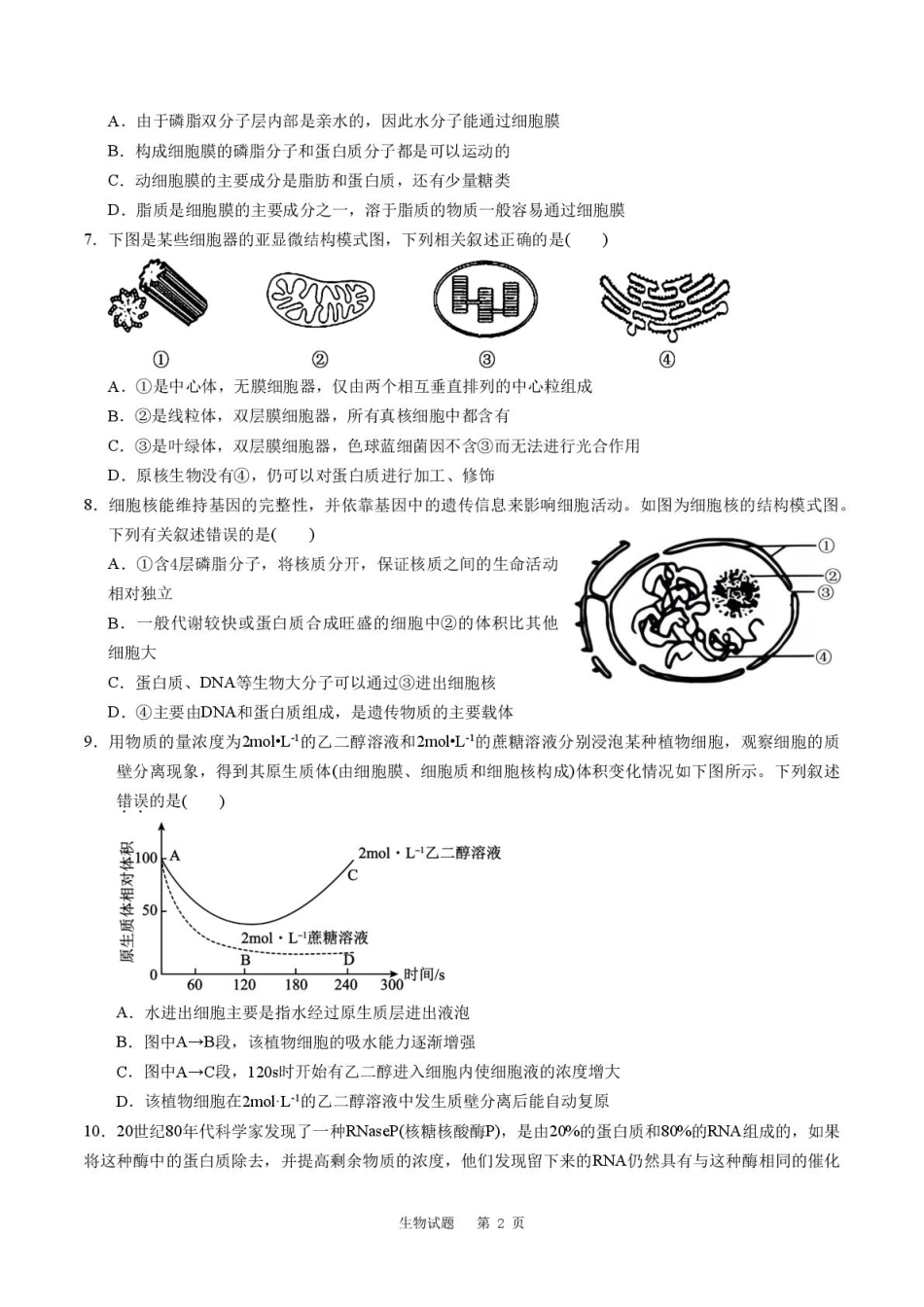 山东省滕州市第一中学2024-2025学年高一上学期12月单元检测生物答案.pdf_第2页