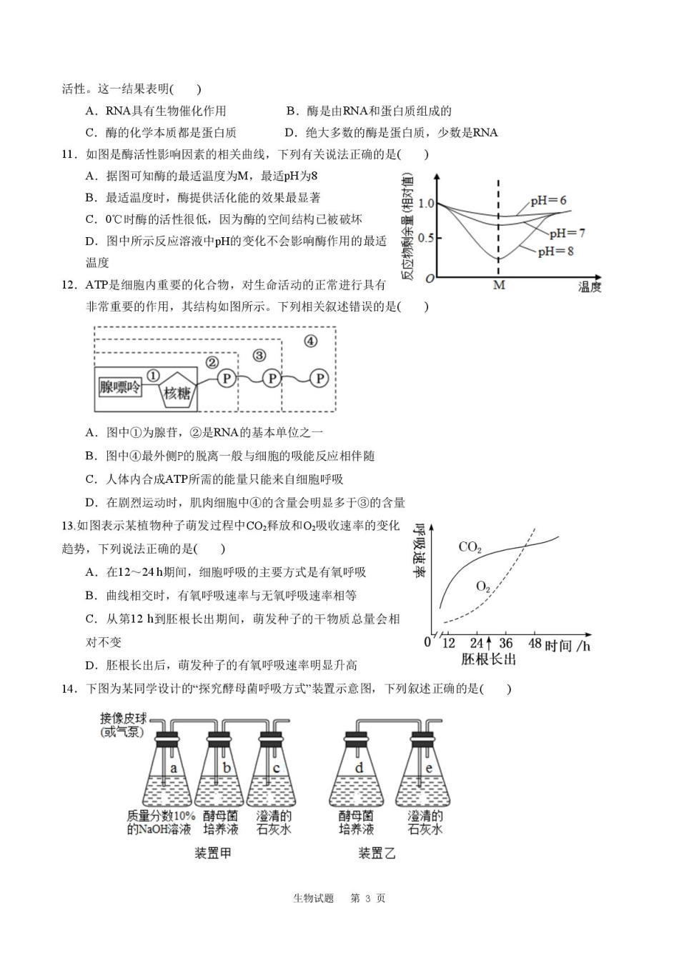 山东省滕州市第一中学2024-2025学年高一上学期12月单元检测生物答案.pdf_第3页