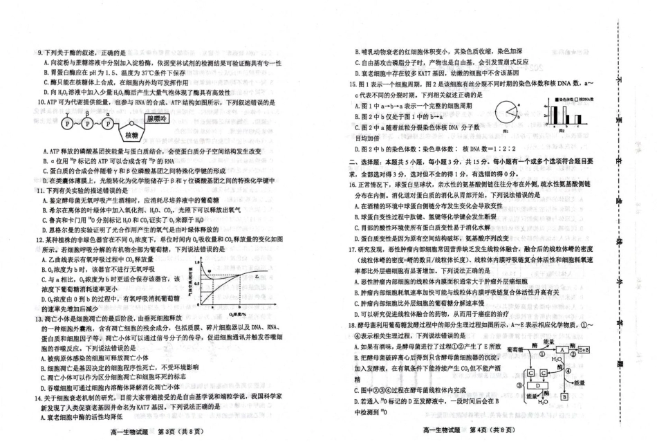 山东省潍坊市2024-2025学年高一上学期期末考试生物含答案.pdf_第2页