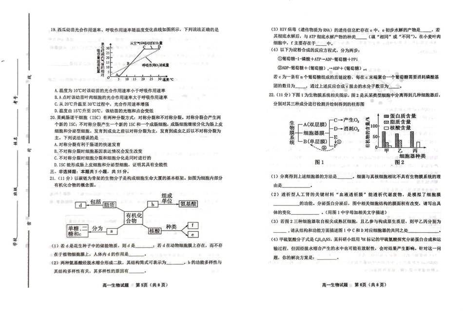 山东省潍坊市2024-2025学年高一上学期期末考试生物含答案.pdf_第3页