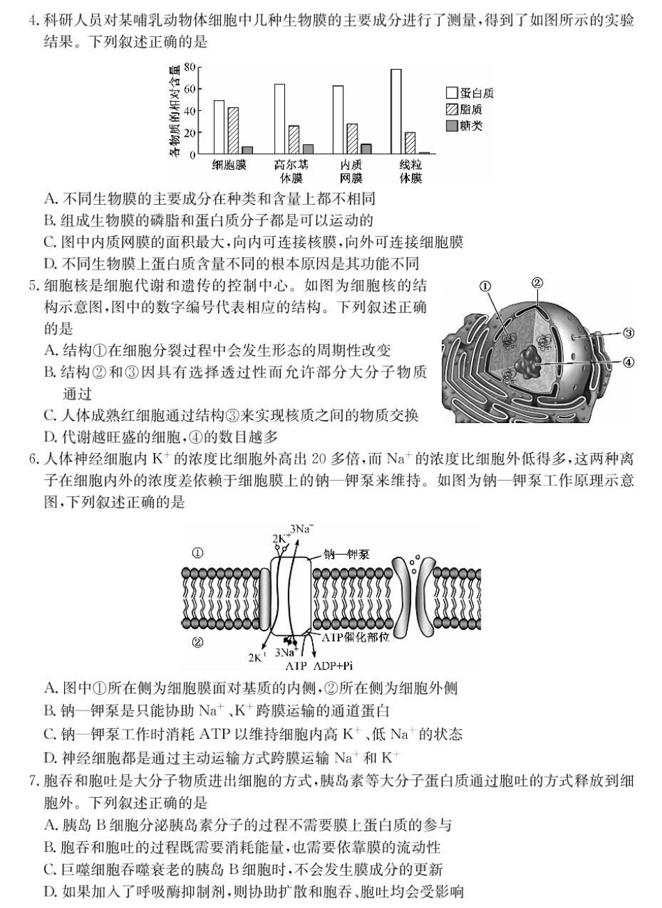 山西省2024-2025学年高一上学期1月期末质量检测生物试卷（含部分解析）.pdf_第2页