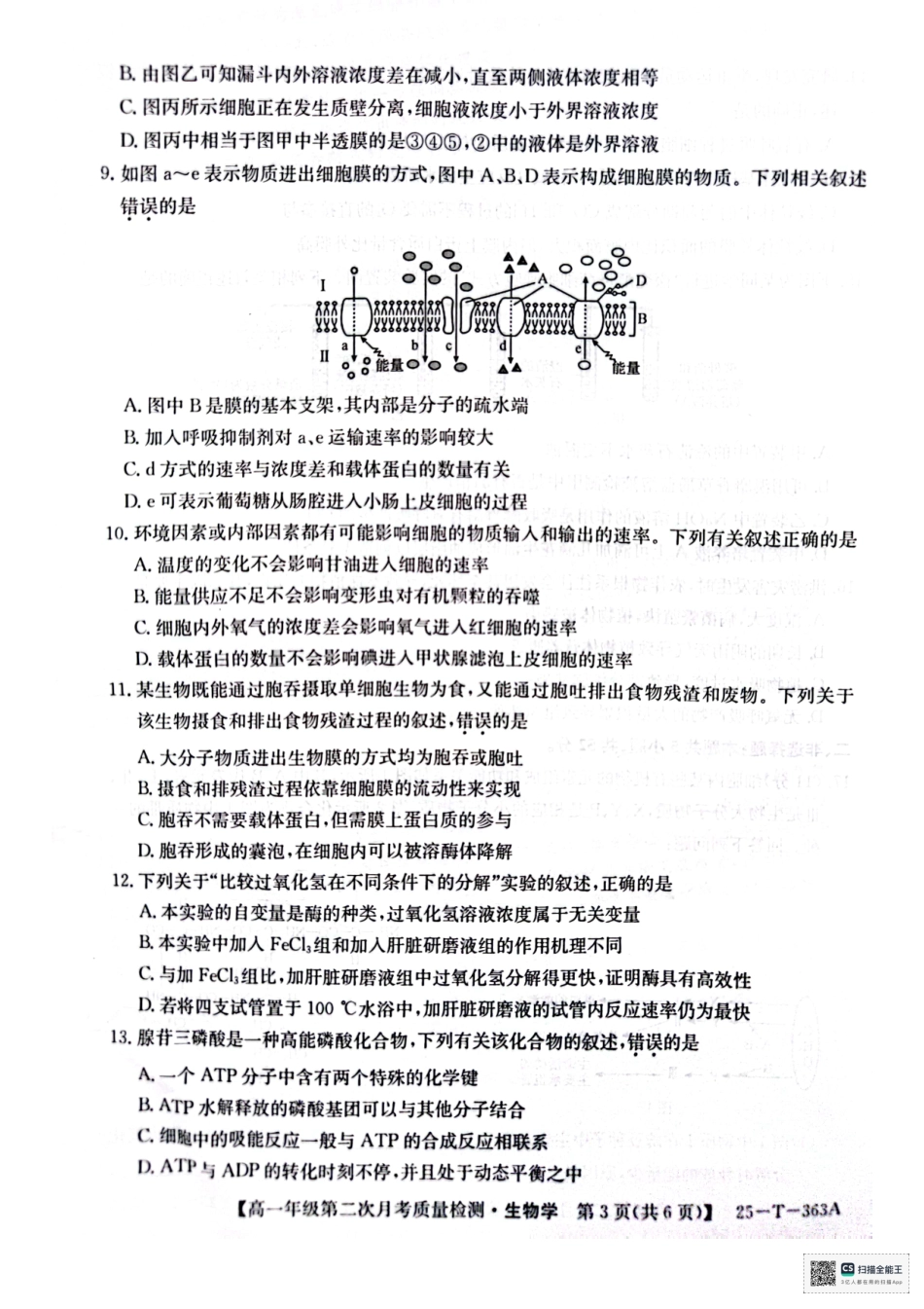 陕西省榆林市府谷县联考2024-2025学年高一上学期12月月考生物.pdf_第3页