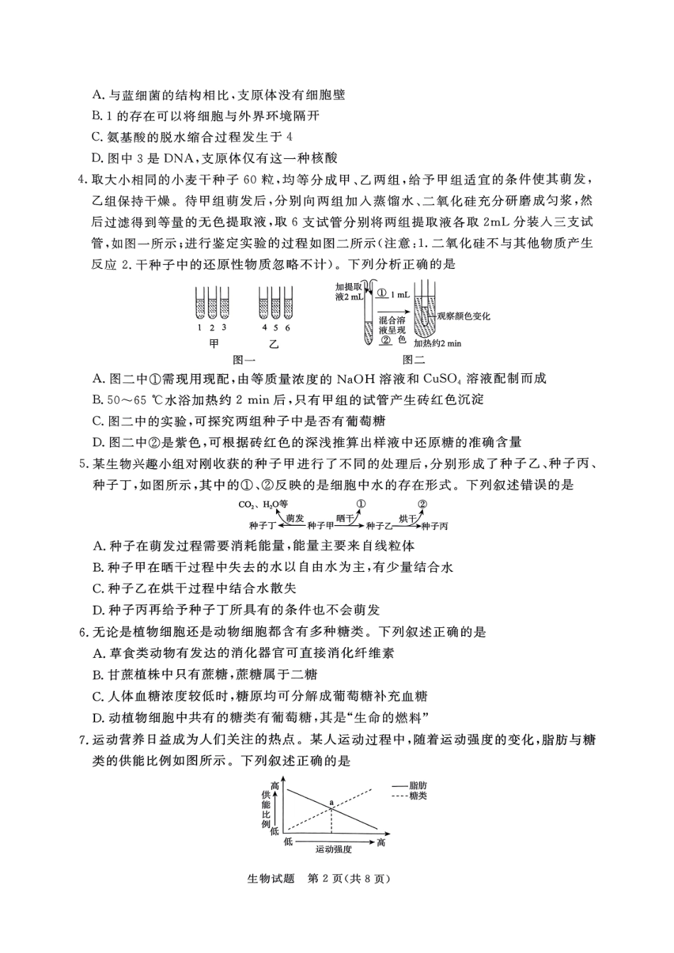 生物-河南省青桐鸣2024-2025学年高一上学期11月期中考试.pdf_第2页