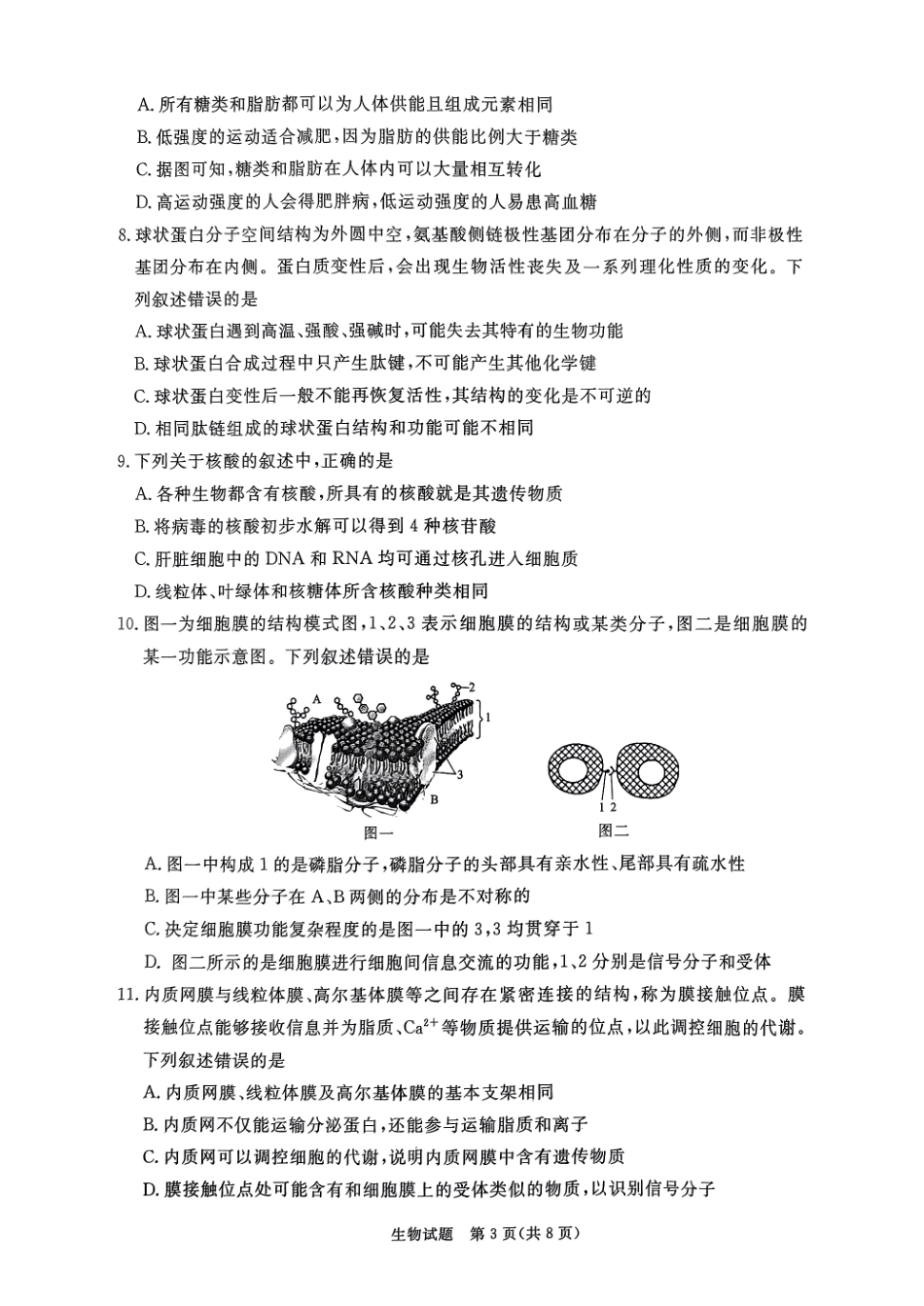 生物-河南省青桐鸣2024-2025学年高一上学期11月期中考试.pdf_第3页