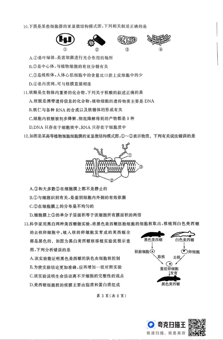 生物-山东省百师联考2024-2025学年高一上学期期中考试.pdf_第3页