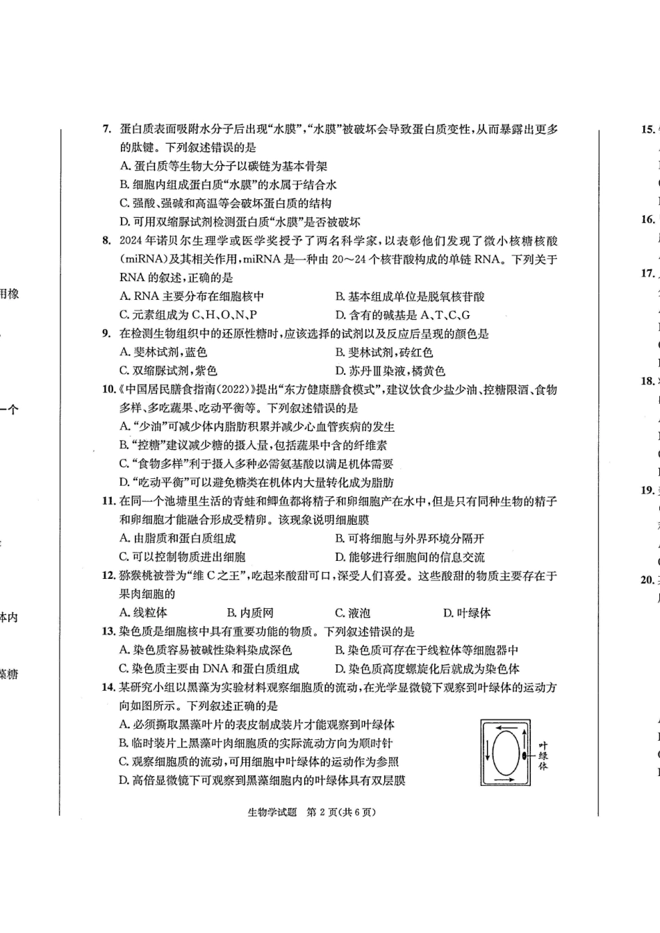 四川省成都市2027届高一上期期末统一调研考试生物.pdf_第2页