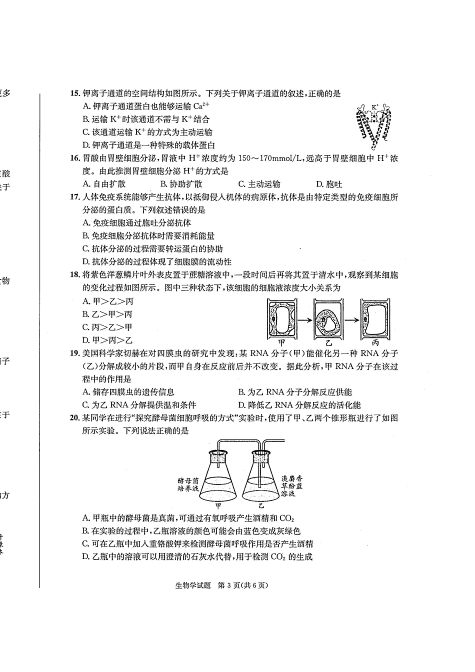四川省成都市2027届高一上期期末统一调研考试生物.pdf_第3页
