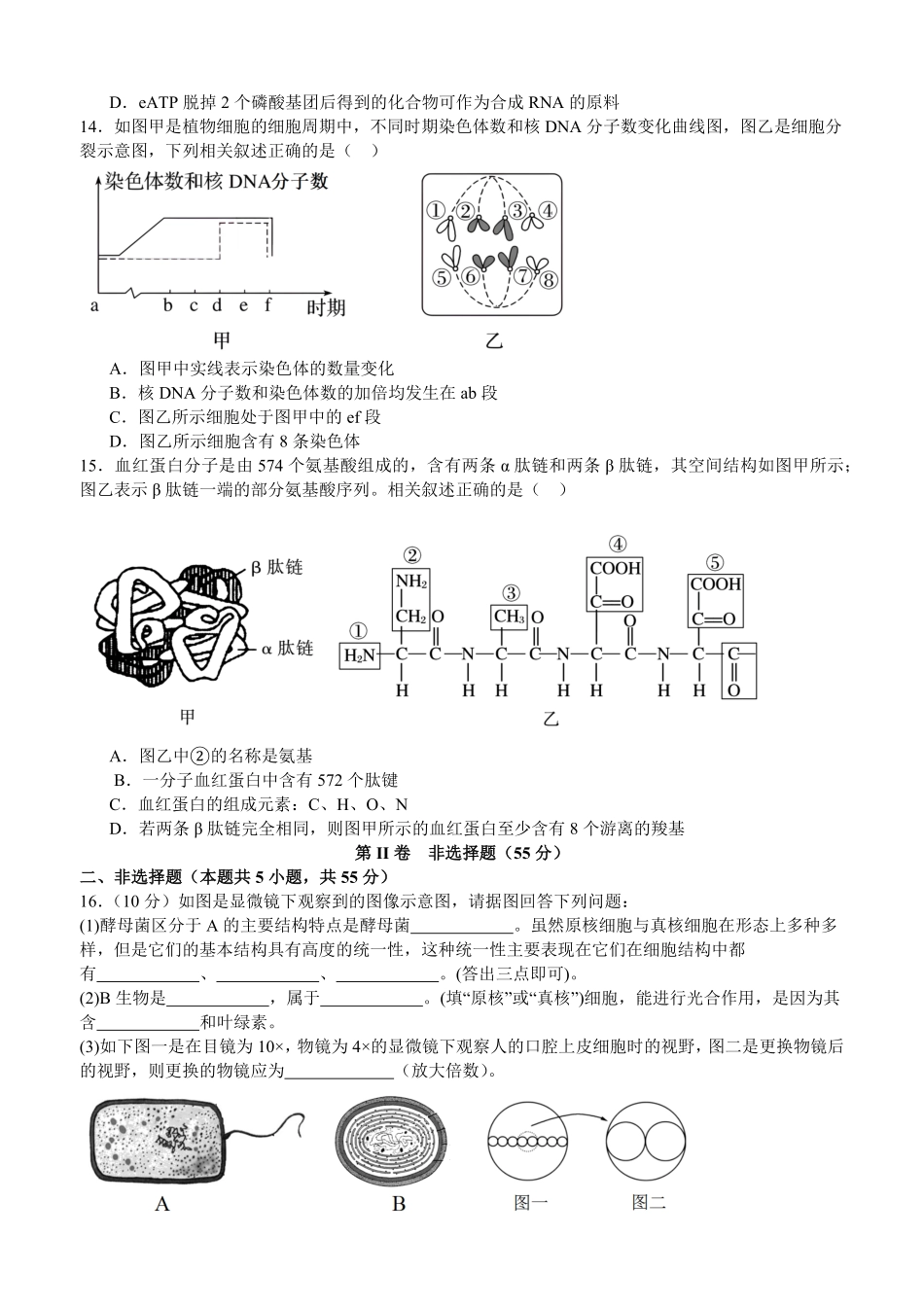 四川省泸州市泸县五中2025年春期高一开学考试生物试题.pdf_第3页