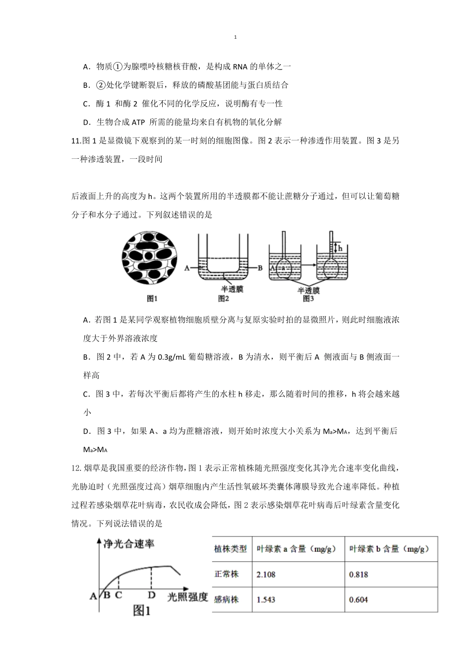 四川省眉山市2024-2025学年高一上学期1月期末联考试题生物（有答案）.pdf_第3页