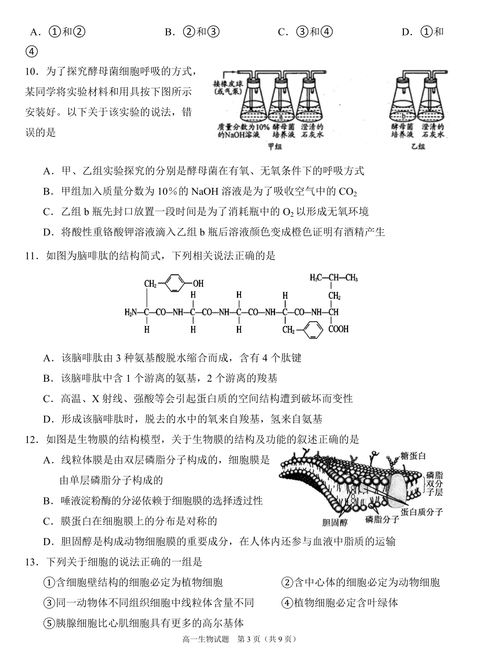 四川省南充市嘉陵一中2024-2025学年高一上学期12月月考生物试题.pdf_第3页