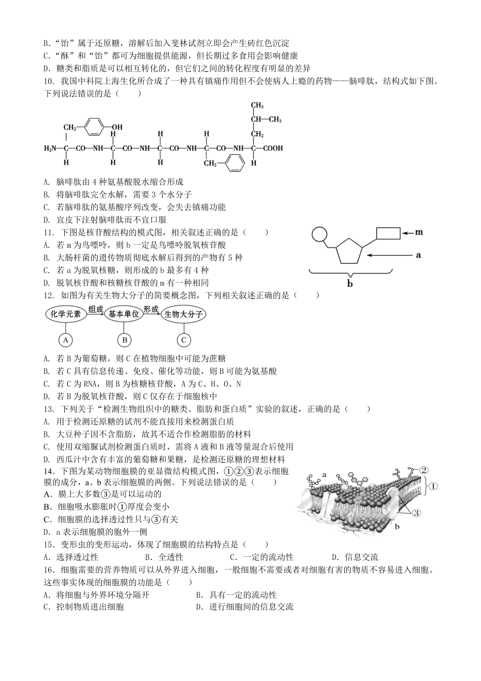 四川省内江市威远中学2024-2025学年高一上学期12月月考生物试题含答案..pdf_第2页