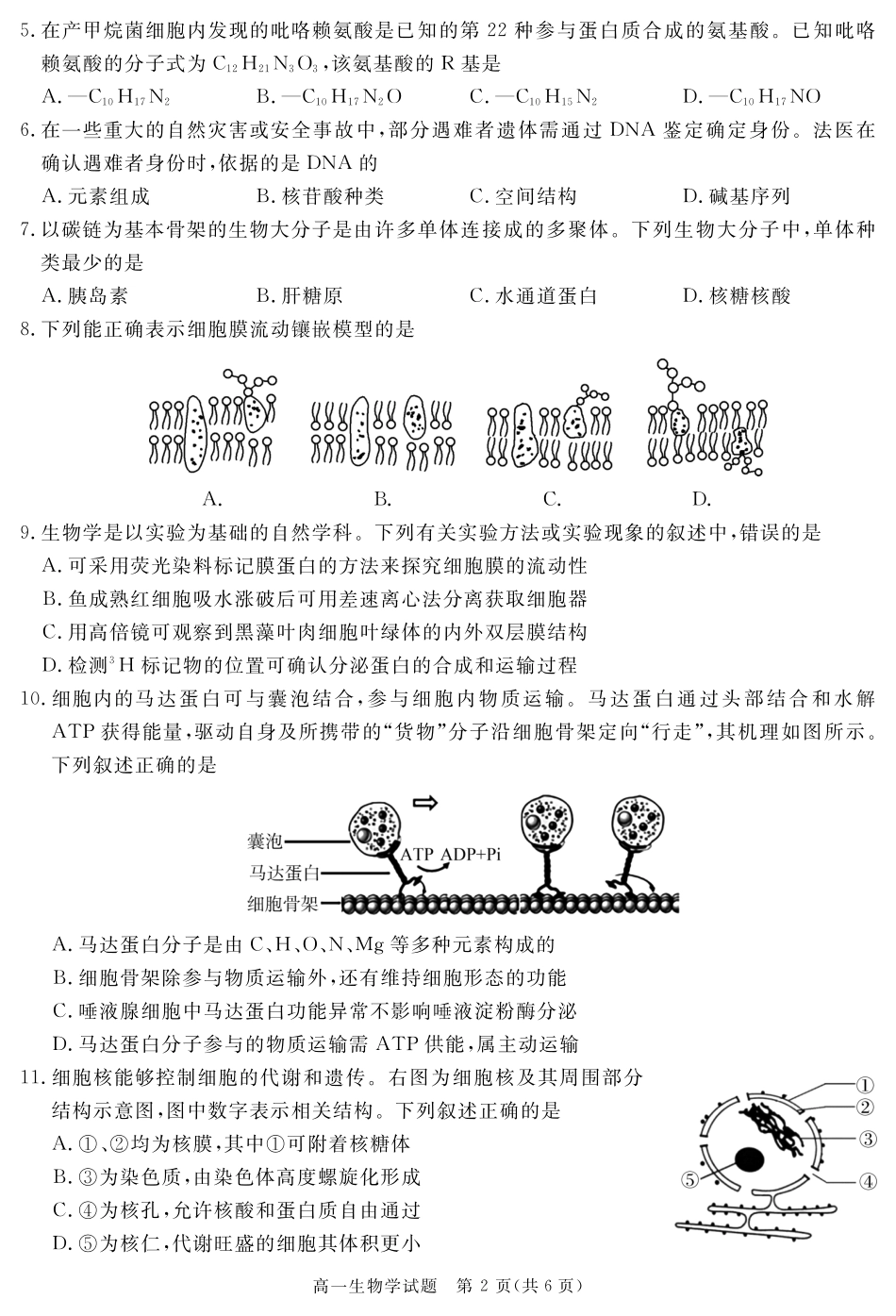 四川省自贡市、遂宁市、广安市等2024-2025学年高一上学期期末考试生物含解析.pdf_第2页